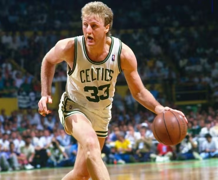 表现出色的 表现出色的