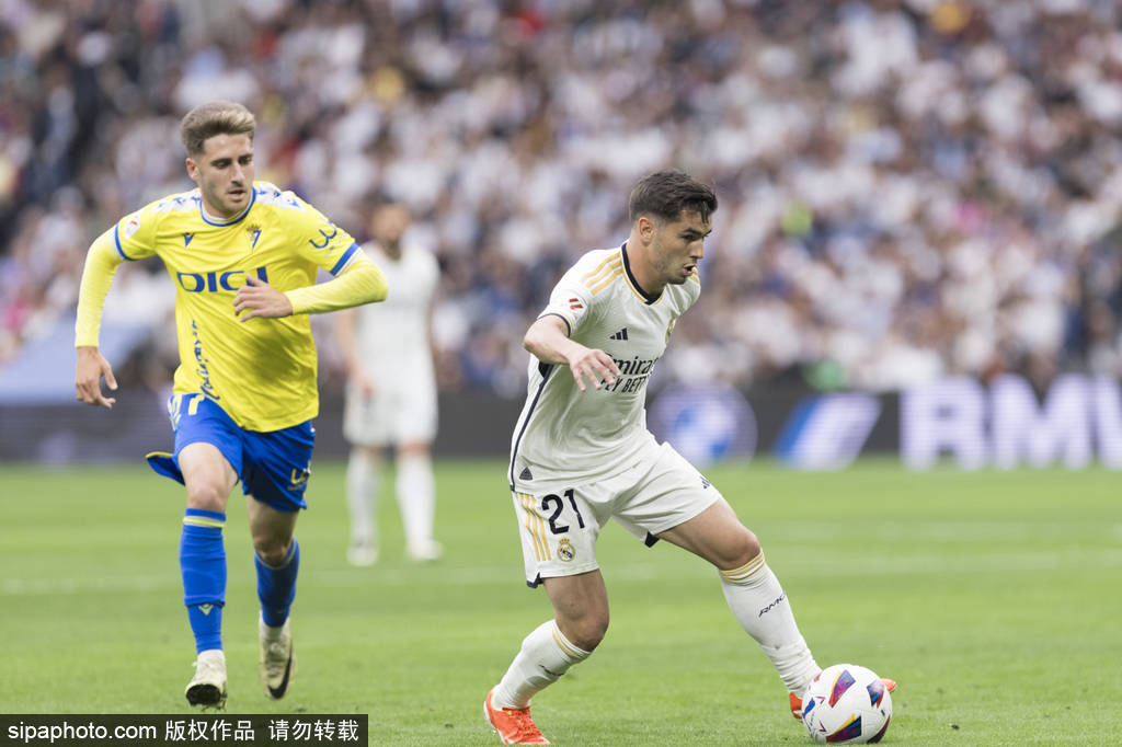 案例分析 案例分析