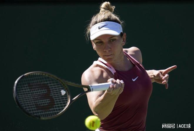 哈维渴望登 哈维渴望登